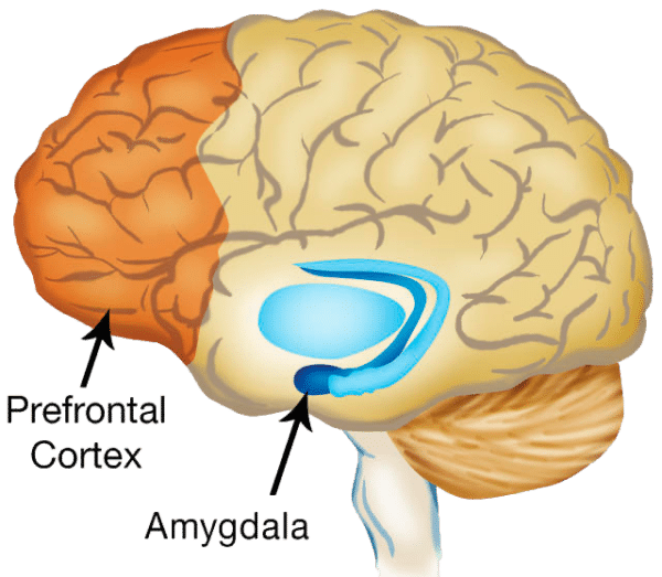 Controlling Emotions - 50 Plus Reasons